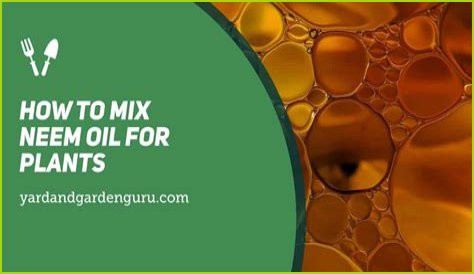 How do you mix neem oil extract?