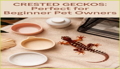 Is Crested Butte good for beginners?