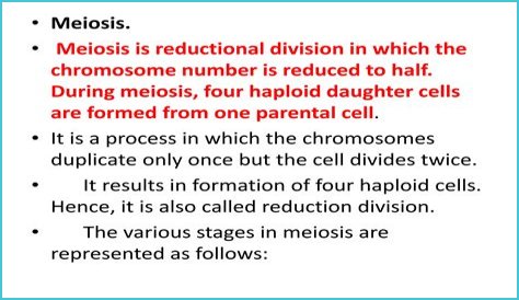 Which event makes meiosis a Reductional division